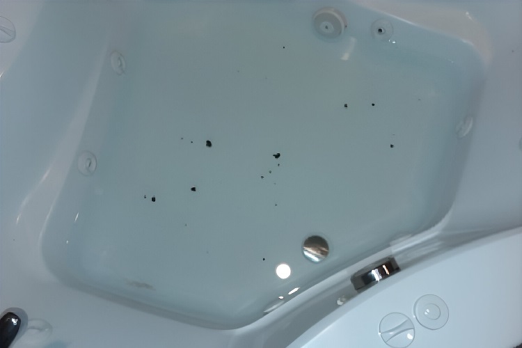 is black mold in a hot tub dangerous